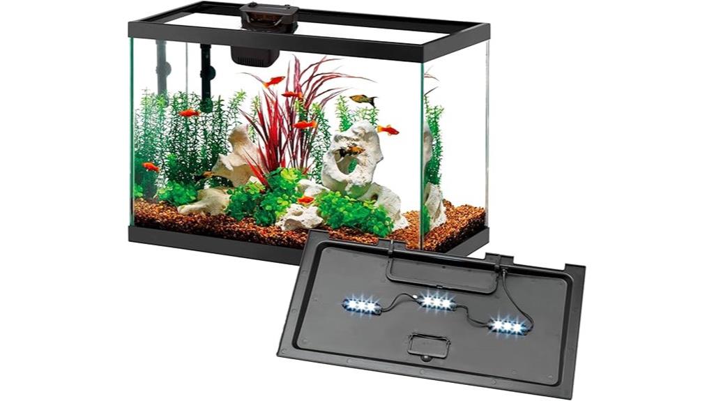 10 gallon aquarium starter kit