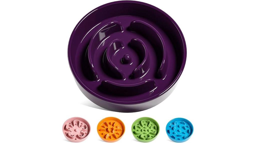 ceramic slow feeder bowl