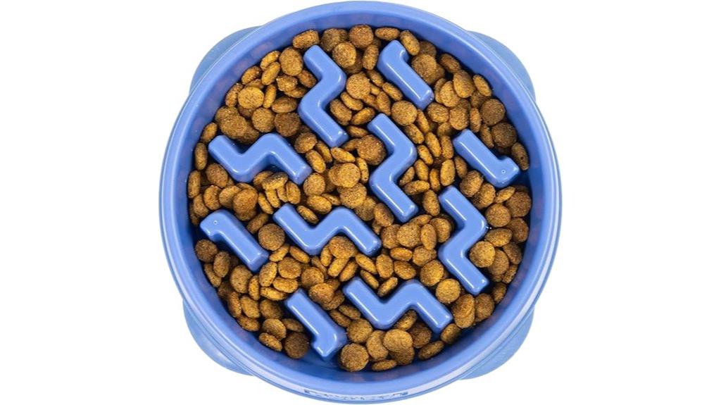 dog bowl with slow feeder