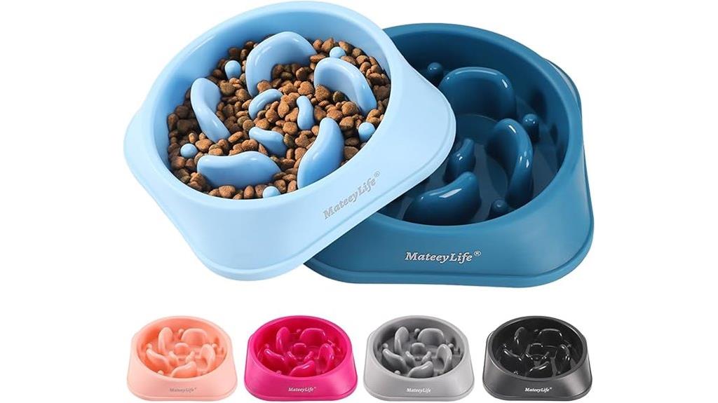 dog slow feeder bowls
