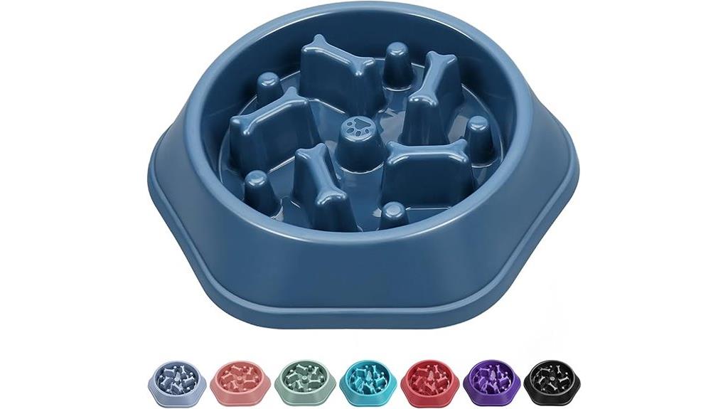 elevated slow feeder bowl