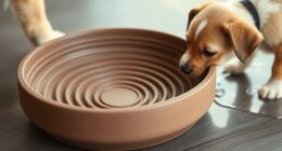healthy eating slow bowls