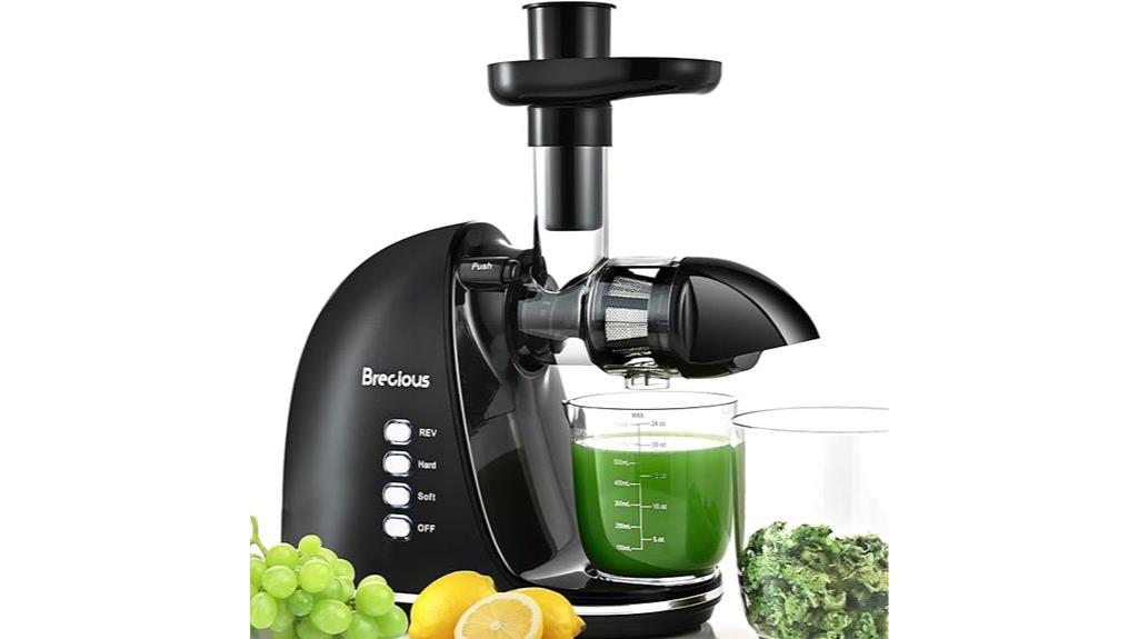 quiet dual speed masticator