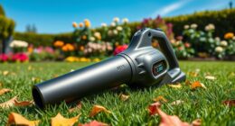 top cordless leaf blowers