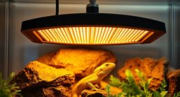 top reptile heat lamp options
