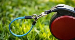 top retractable leash picks