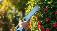 top telescoping pruning saws