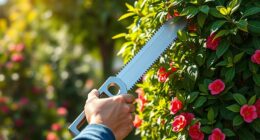 top telescoping pruning saws