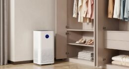 top closet dehumidifiers 2026